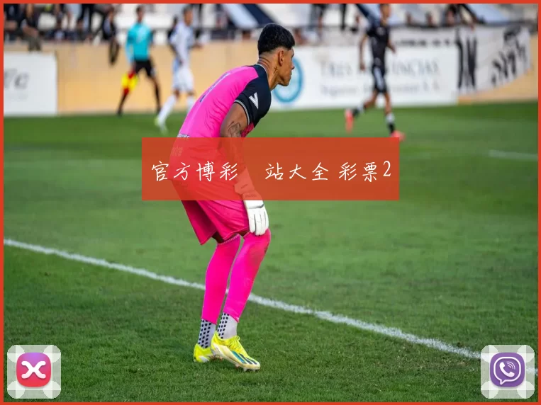 官方博彩網站大全 彩票2