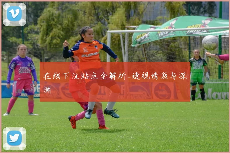 在线下注站点全解析_透视诱惑与深渊