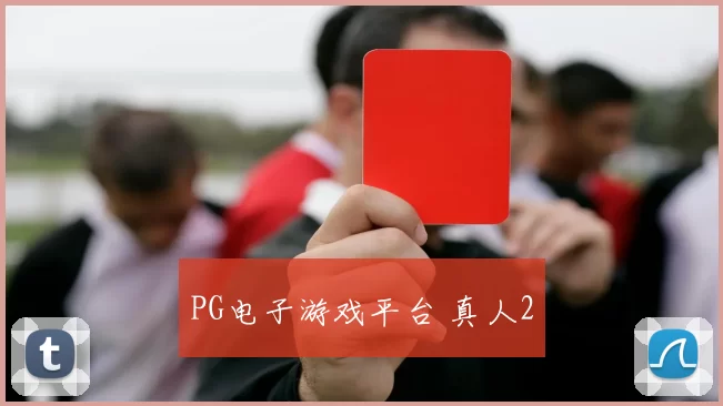 PG电子游戏平台 真人2