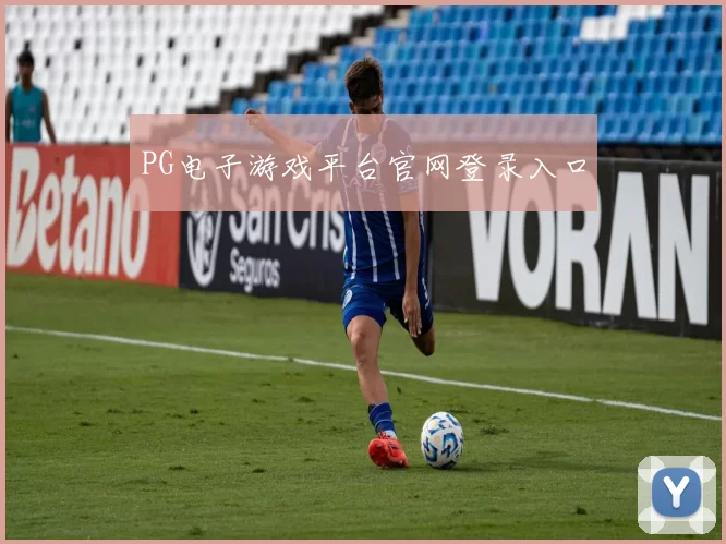 PG电子游戏平台官网登录入口