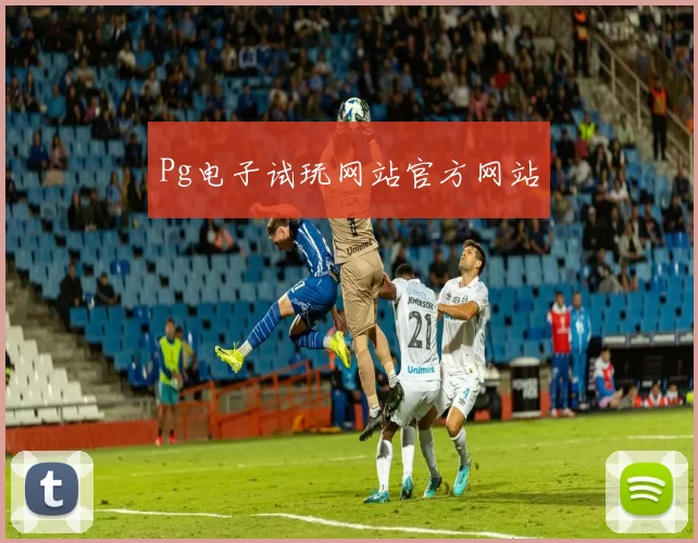 Pg电子试玩网站官方网站