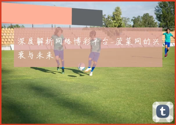 深度解析网络博彩平台_菠菜网的兴衰与未来