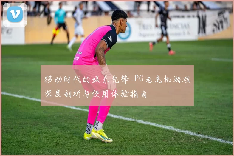 移动时代的娱乐先锋_PG老虎机游戏深度剖析与使用体验指南