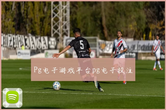 Pg电子游戏平台pg电子投注