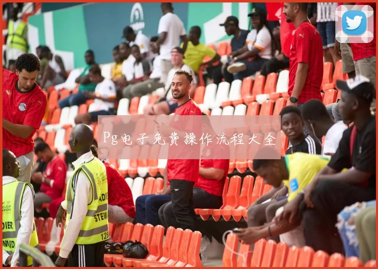 Pg电子免费操作流程大全