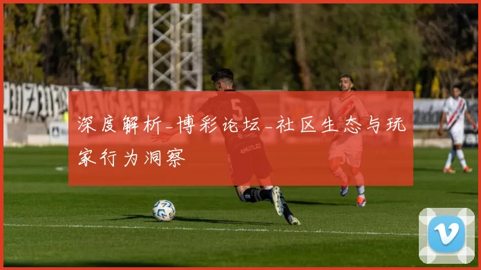 深度解析_博彩论坛_社区生态与玩家行为洞察