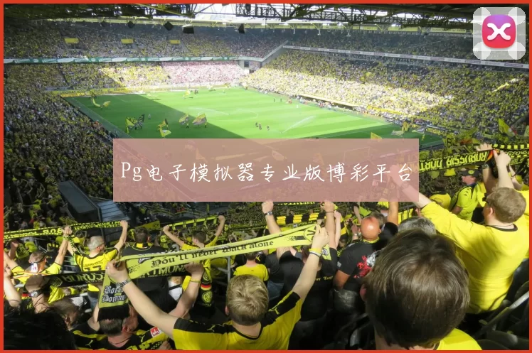 Pg电子模拟器专业版博彩平台