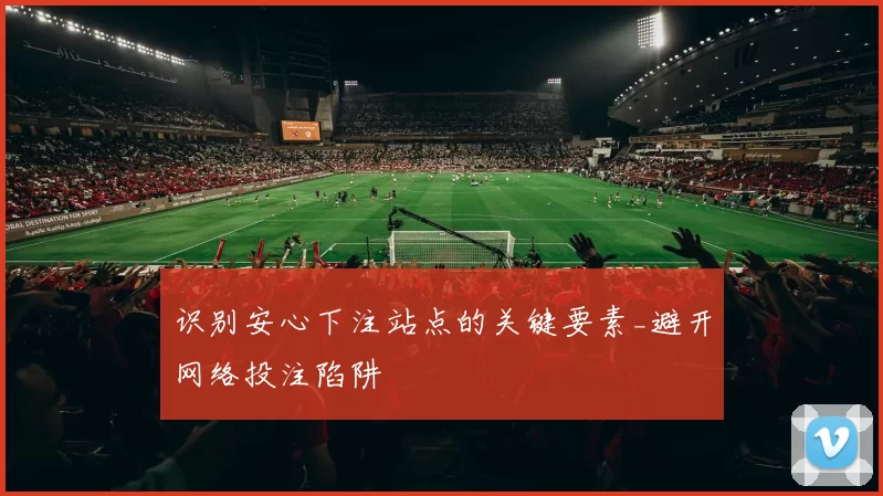 识别安心下注站点的关键要素_避开网络投注陷阱