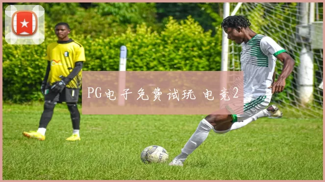 PG电子免费试玩 电竞2