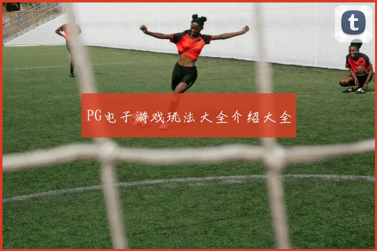 PG电子游戏玩法大全介绍大全