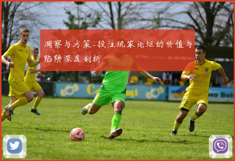 洞察与方策_投注玩家论坛的价值与陷阱深度剖析