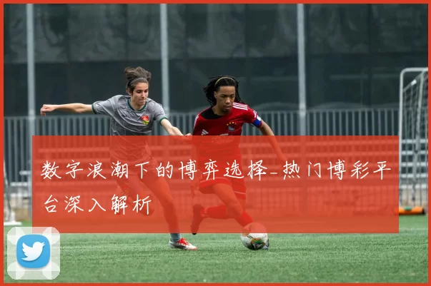 数字浪潮下的博弈选择_热门博彩平台深入解析