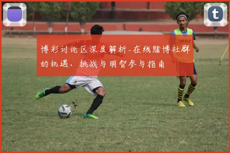 博彩讨论区深度解析_在线赌博社群的机遇、挑战与明智参与指南