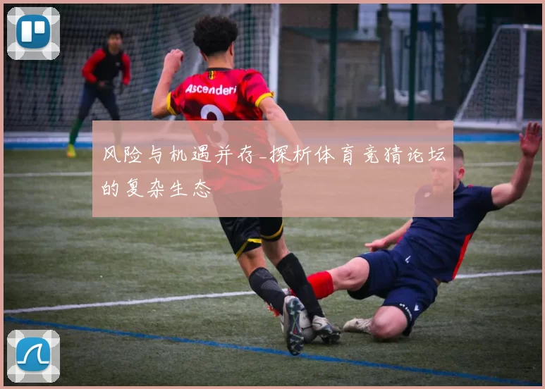 风险与机遇并存_探析体育竞猜论坛的复杂生态