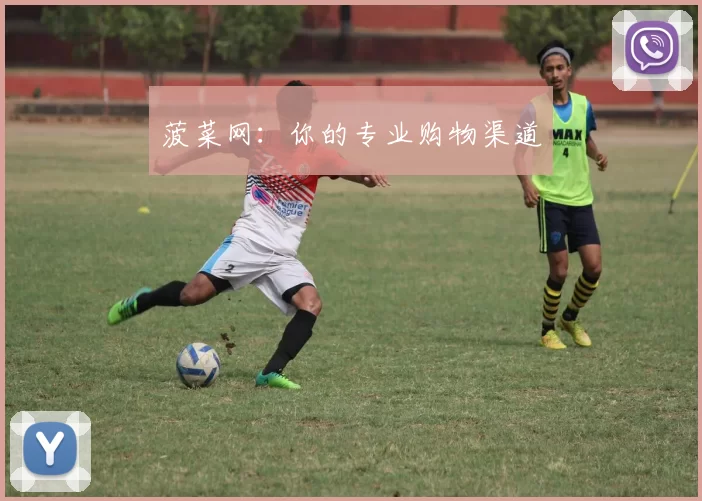 菠菜网：你的专业购物渠道