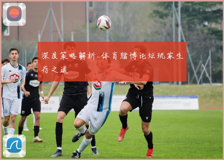 深度策略解析_体育赌博论坛玩家生存之道