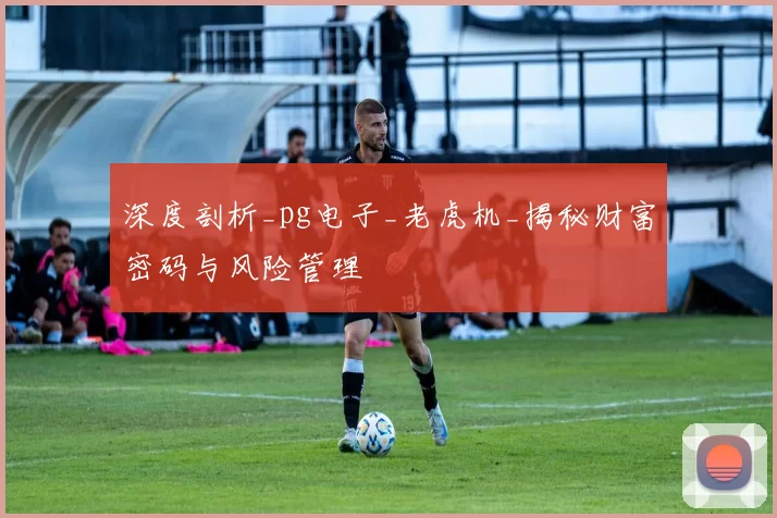 深度剖析_pg电子_老虎机_揭秘财富密码与风险管理