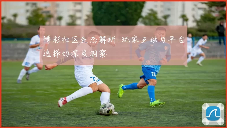 博彩社区生态解析_玩家互动与平台选择的深度洞察