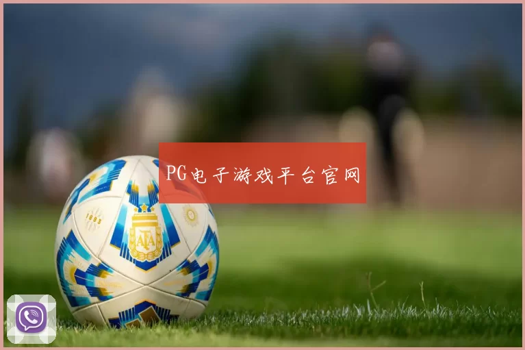 PG电子游戏平台官网