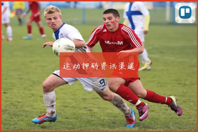运动押码资讯渠道