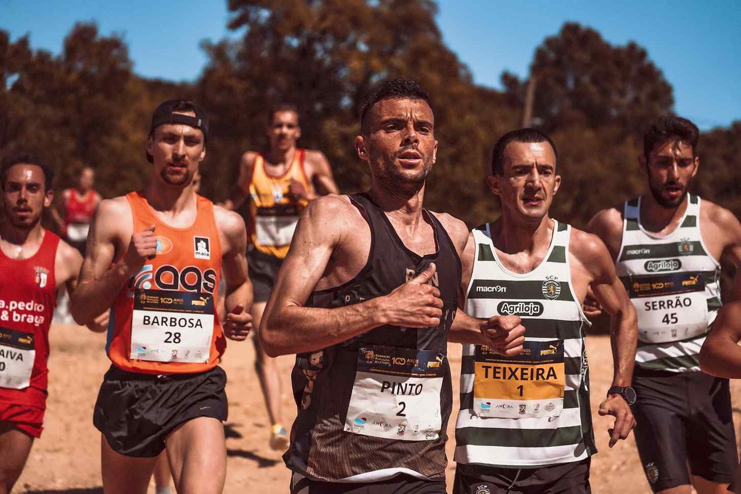 PG电子游戏试玩平台 下注2